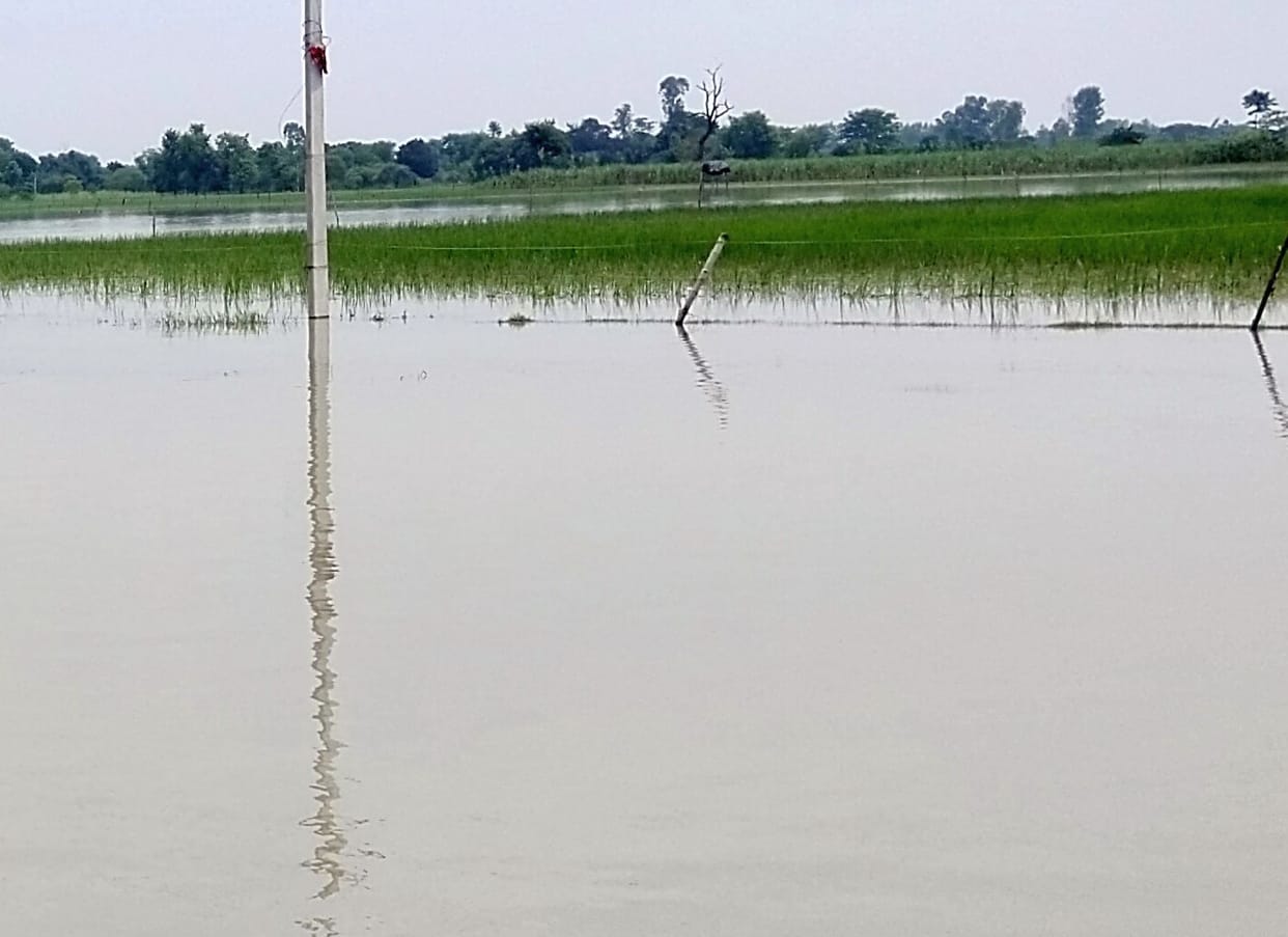 Rivers cut 100 bighas of land