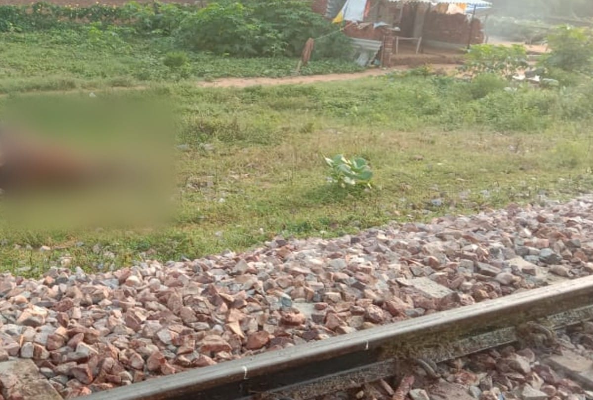 five cows died after being hit by a train on Agra-Etawa rail line