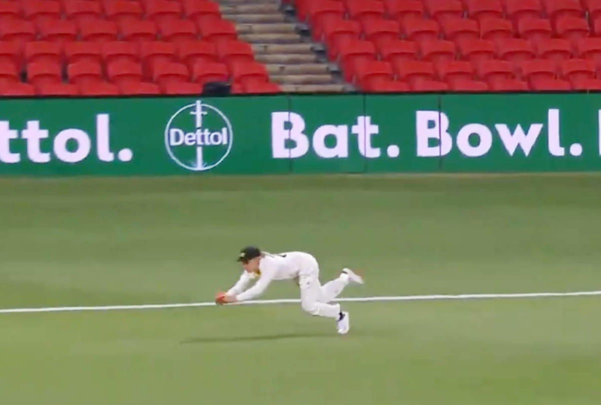 INDW vs AUSW day night test: Australian Woman Cricketer Asleigh Gardner's Viral Diving Catch; Watch Video