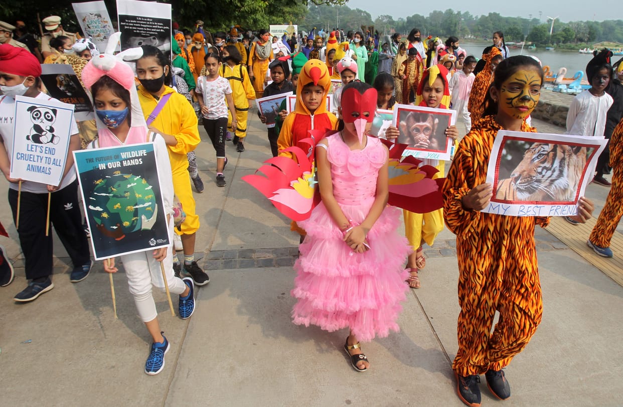 Children gave a message of friendship, love and peace with face painting and pictures of wildlife
