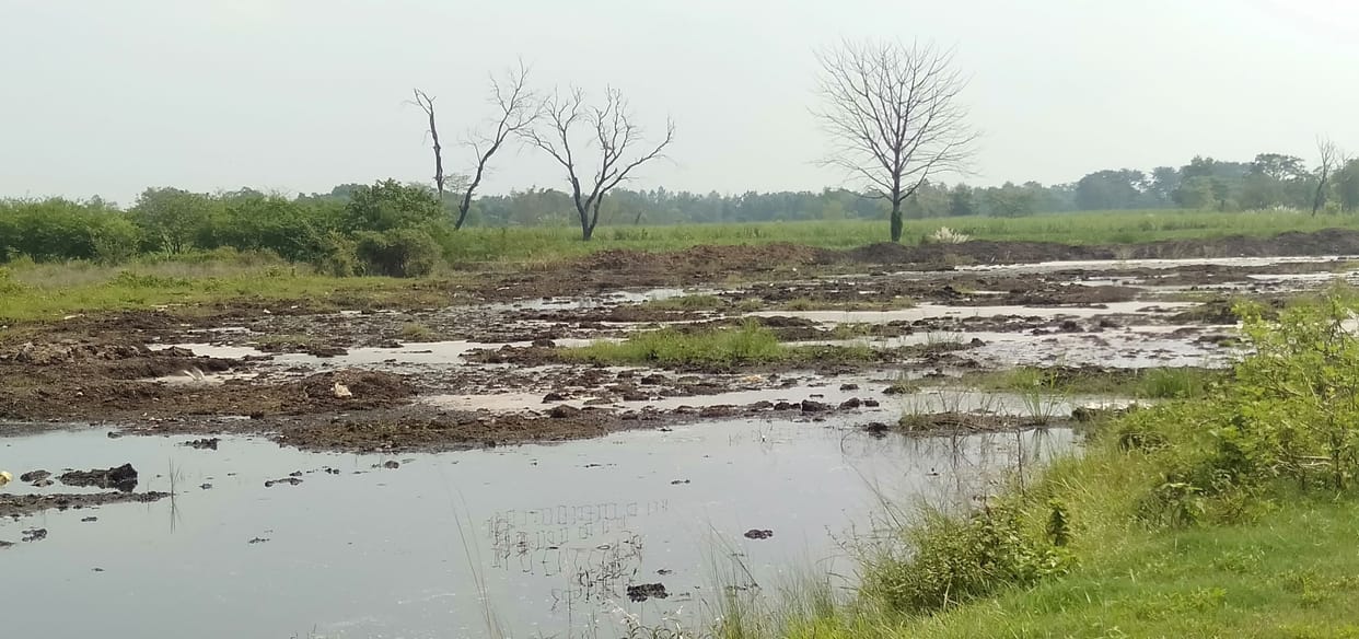 Crops getting ruined, villagers getting sick