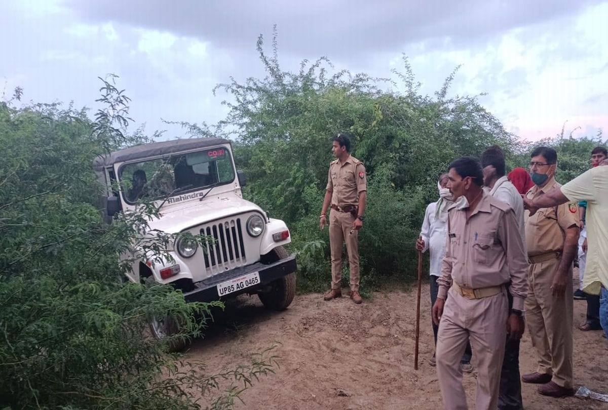 Leopard Body Found In Vrindavan Mathura News