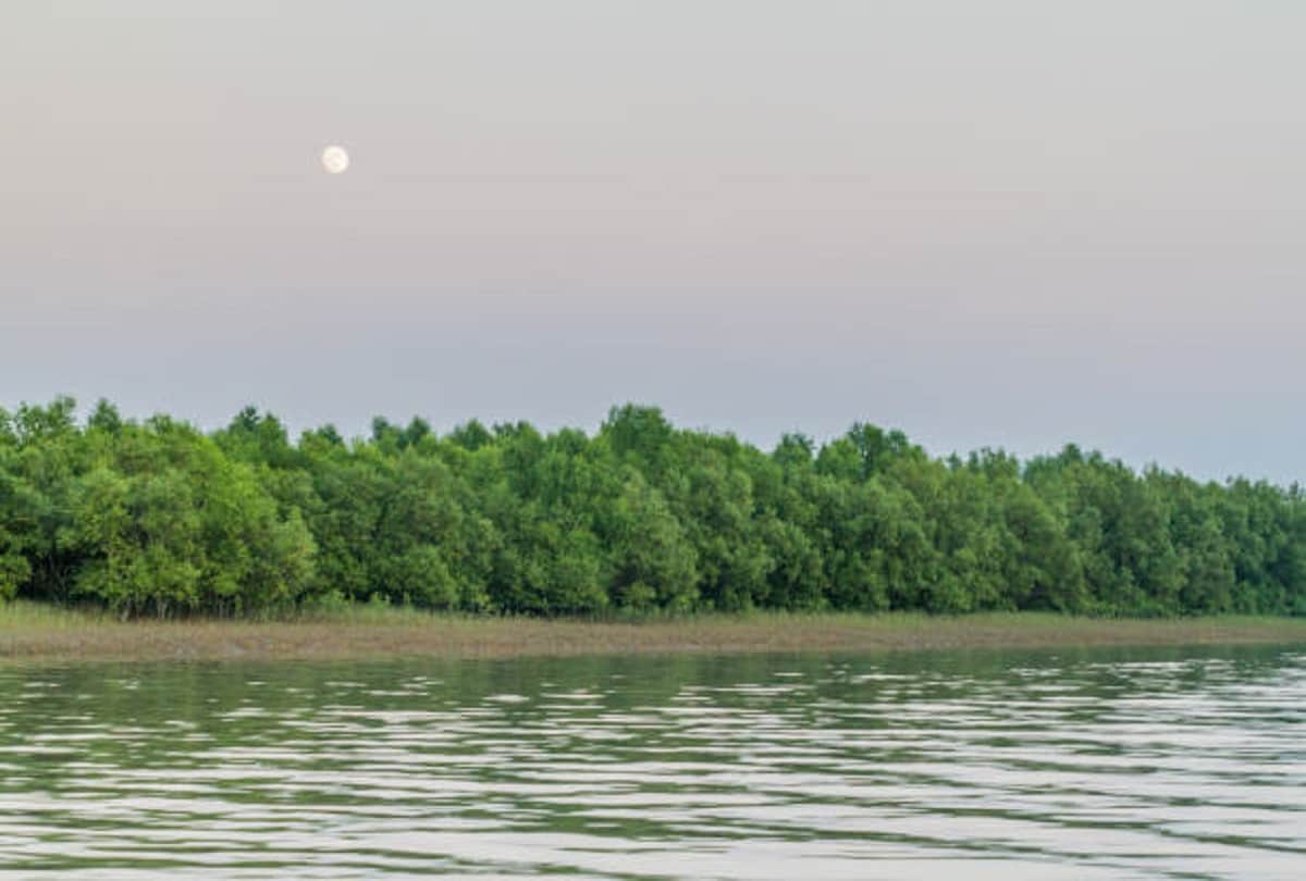 most dangerous forest in india where to go may be death