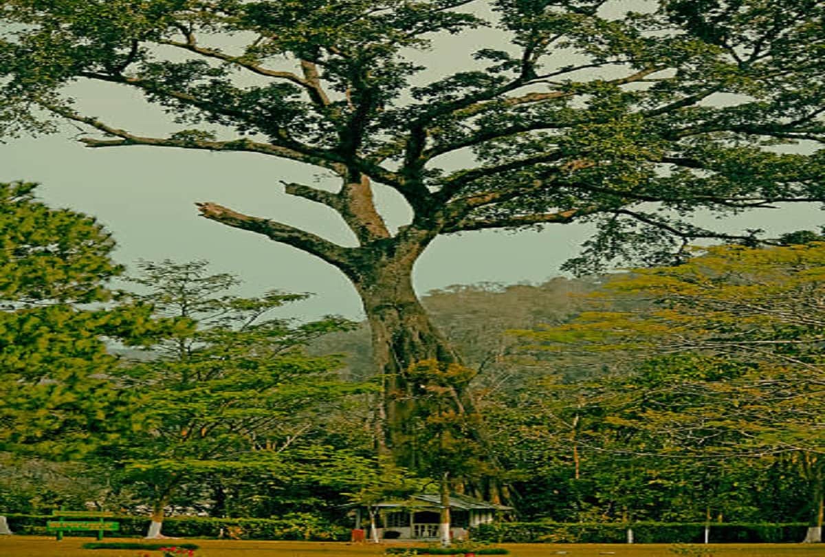 most dangerous forest in india where to go may be death