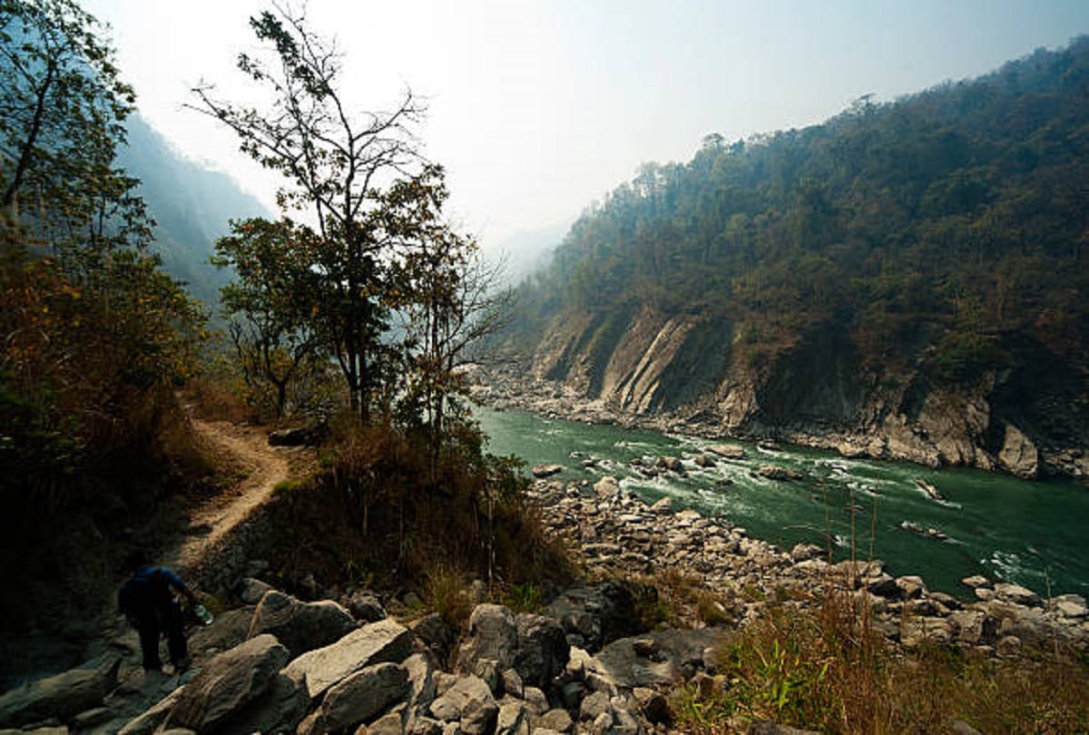 Forest cover in north-eastern states reduced by 1,020 sq km in last 2 years, says ISFR report