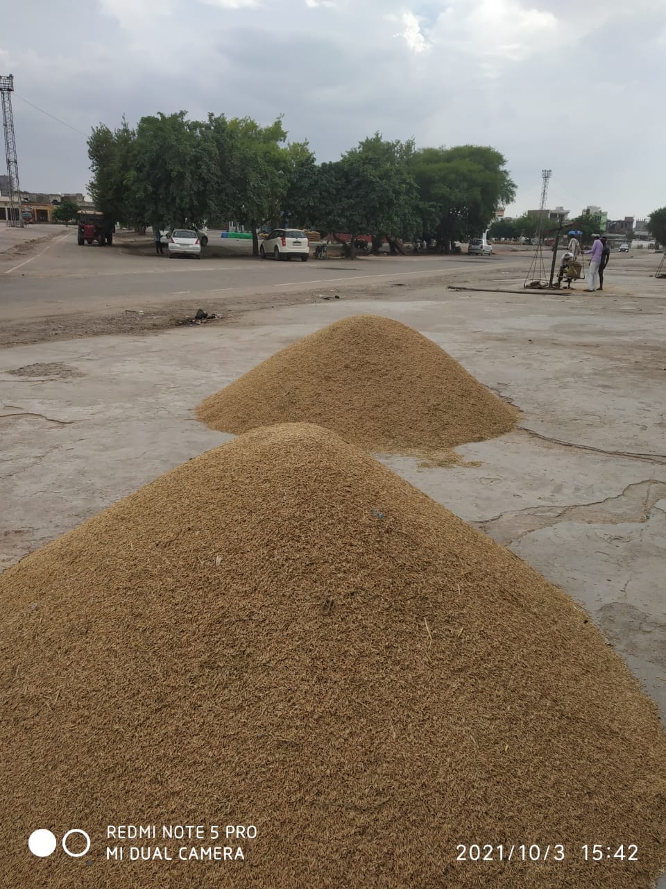 Paddy was not procured on MSP in the district, farmers and leaders of social organizations expressed their anger