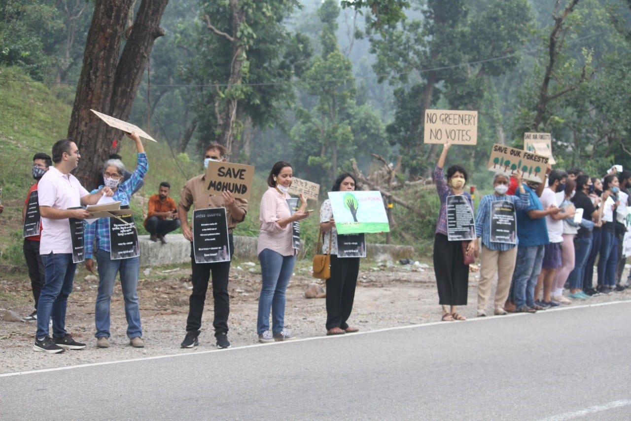 chipko movement in dehradun: people came out in protest against the 11 thousand trees cutting see photo
