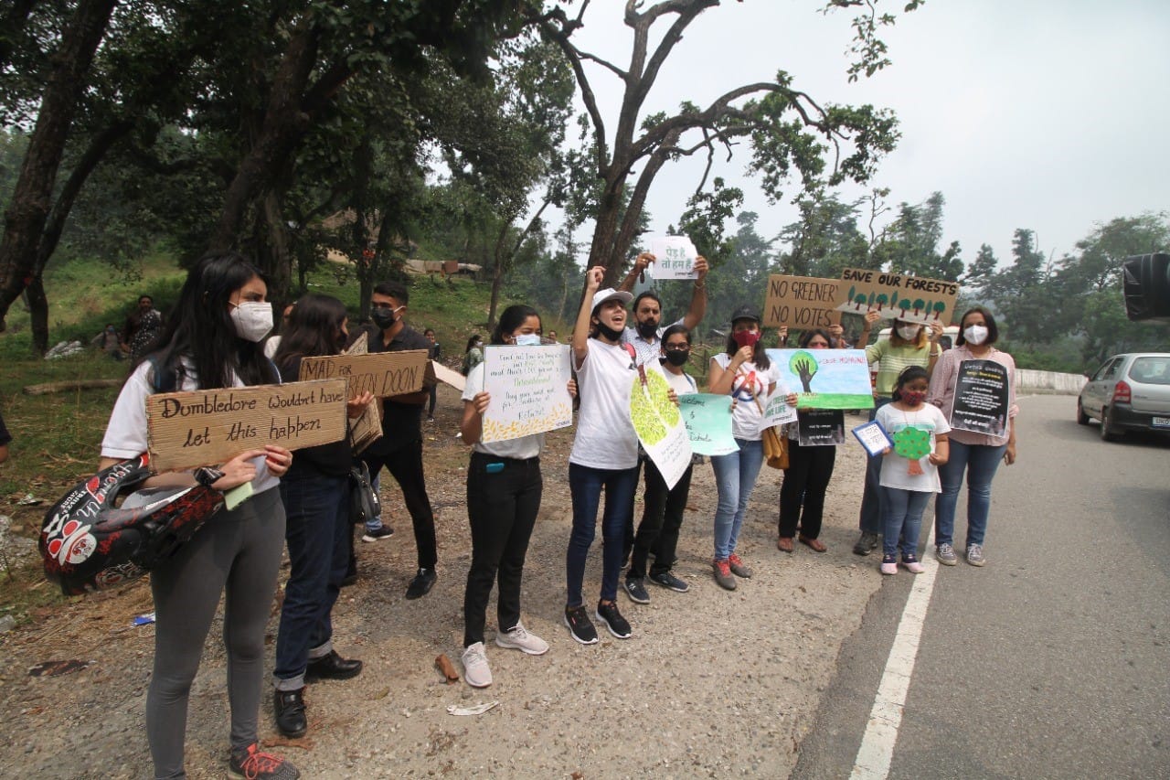 chipko movement in dehradun: people came out in protest against the 11 thousand trees cutting see photo