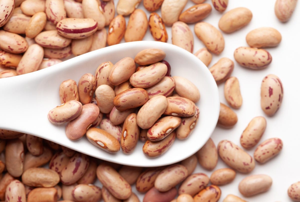 omega 3 rich foods for vegetarians, how this nutrition is important