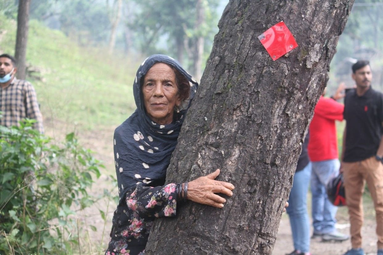 People gathered in Datkali to save 11 thousand trees