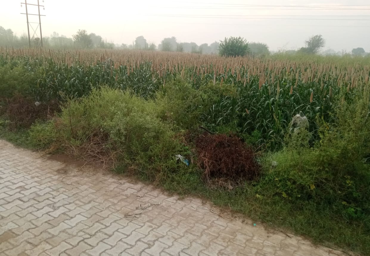 Pre-record ready of land in villages without consolidation