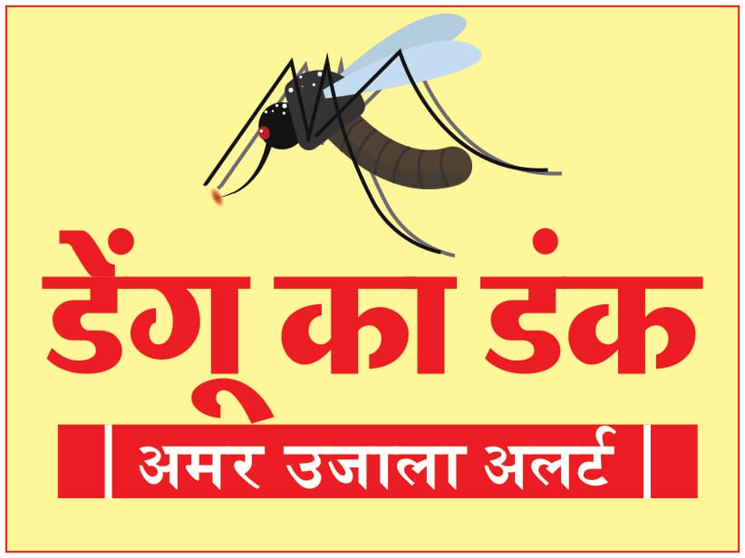 3 new dengue patients found, so far confirmed in 96 patients