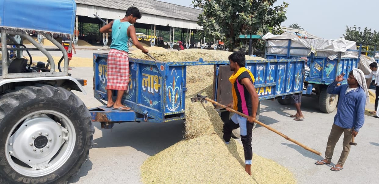 Paddy procurement started in mandis, farmers engaged in the problem of moisture in paddy and gate pass