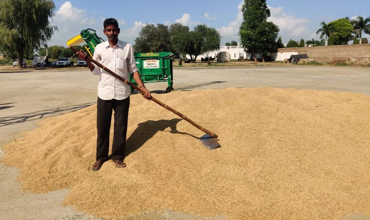 Paddy arrived with 6 farmers in two mandis on the first day of purchase, 5 heaps were not sold due to high moisture