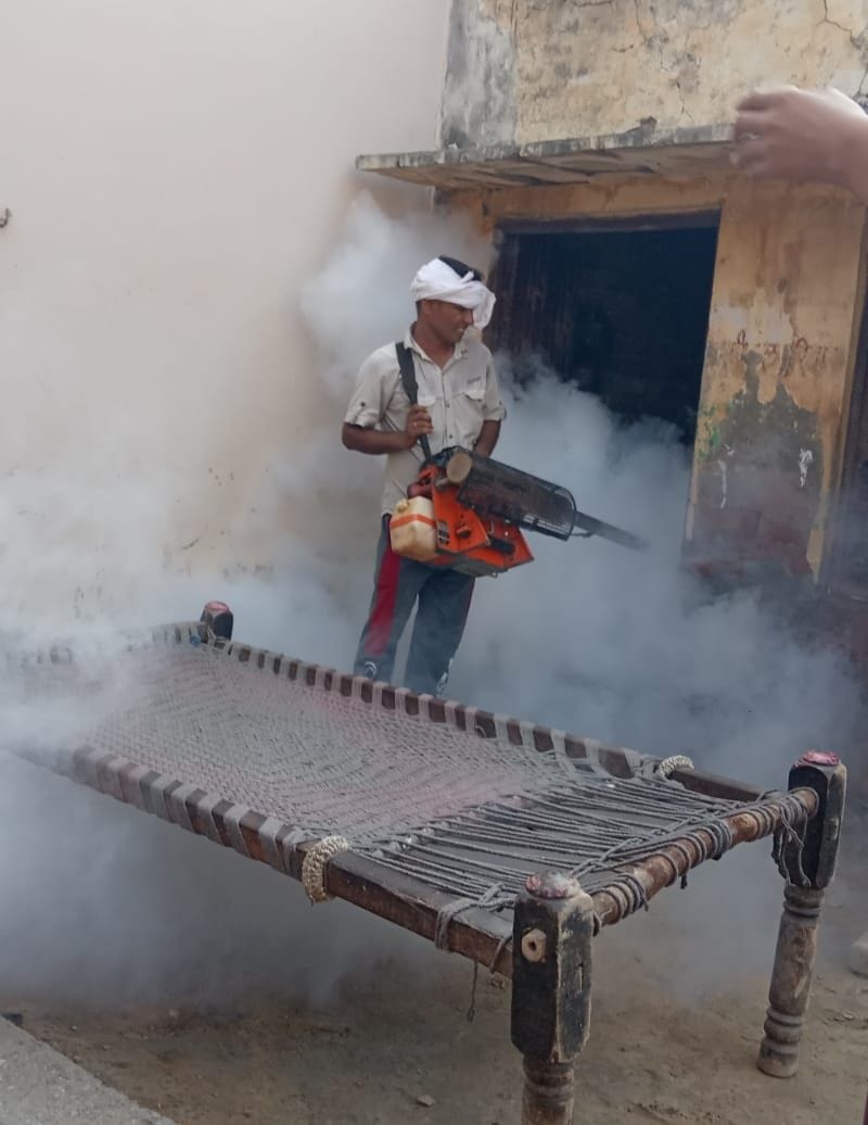 Dengue larva found at Mata Gate, Chandana Gate, Amgarh Gamdi and Siwan Gate places