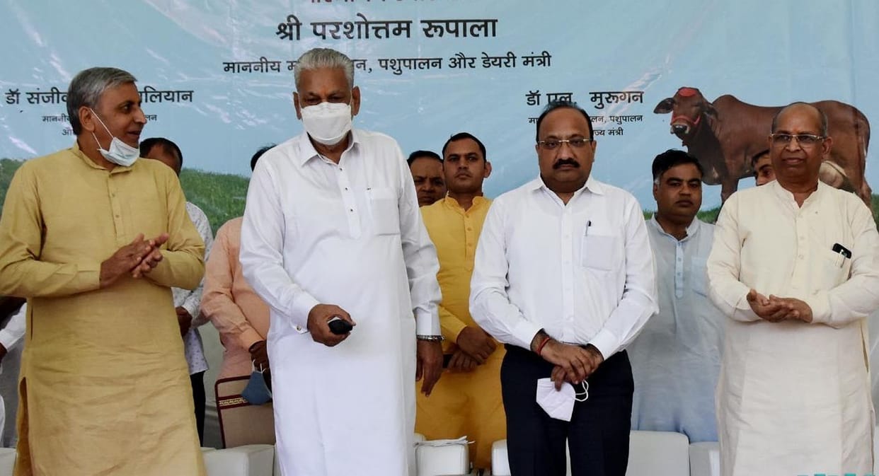 Cow hostel will have to be established to avoid unbalanced lifestyle