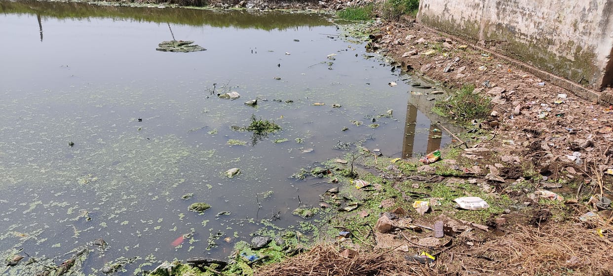 30 people suffering from fever in Pailawar village, teenager died of dengue
