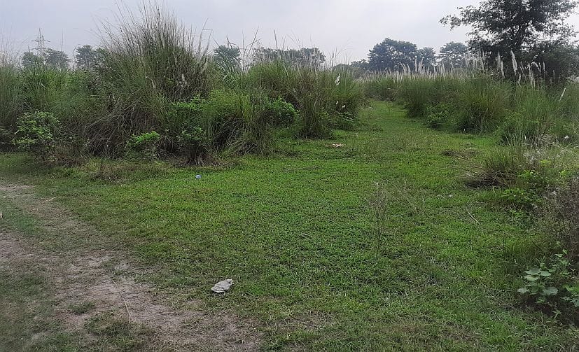 Multipurpose Buisness Centre Will be Soon