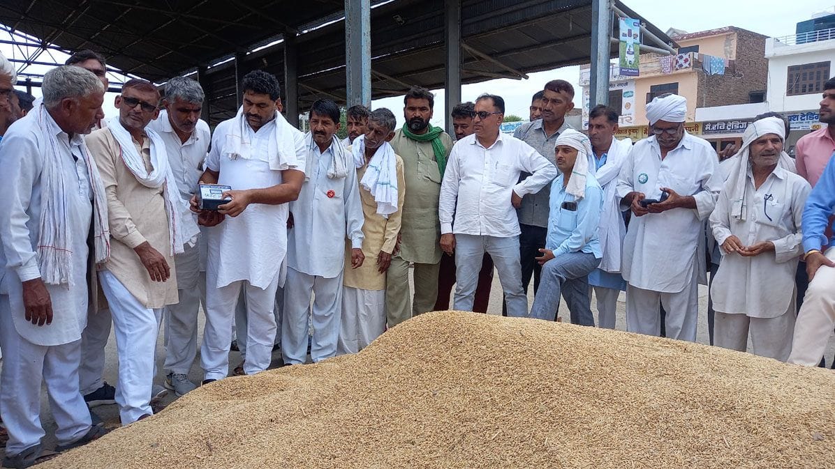 Paddy arrival increased in mandis, due to moisture, procurement is not being done