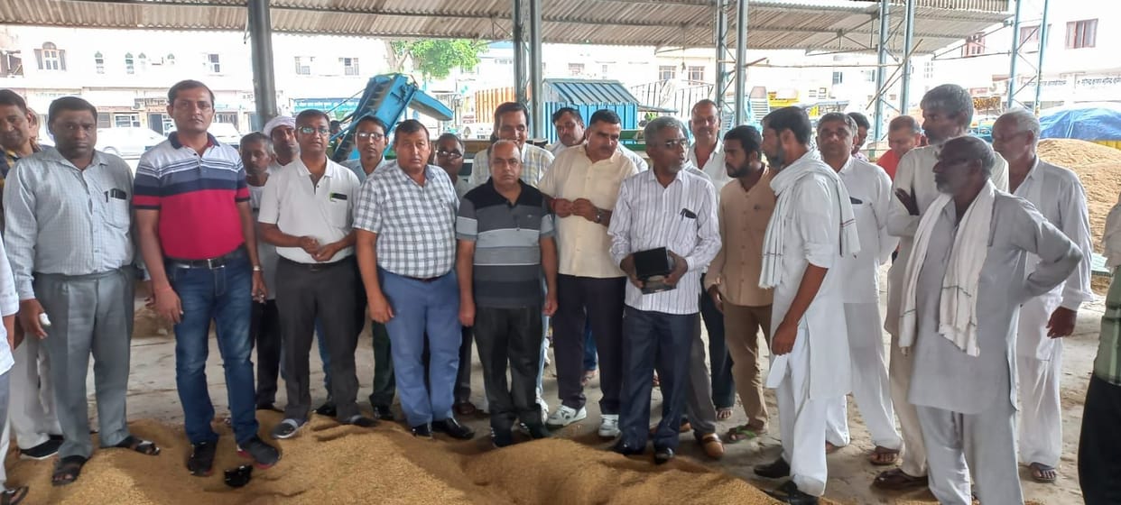 Purchase of 441 quintals of paddy on the first day in Fatehabad's grain market
