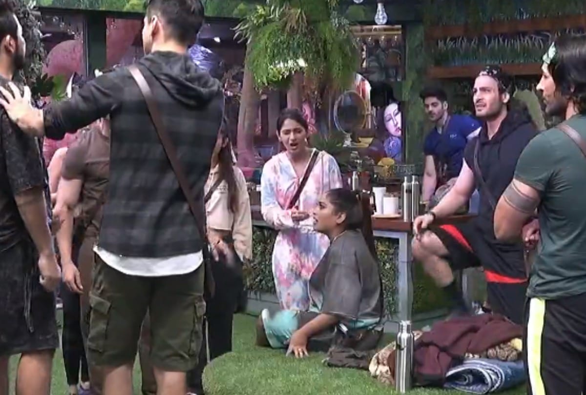 Bigg Boss 15 big contestant afsana khan threatens to hit vidhi pandya during big fight