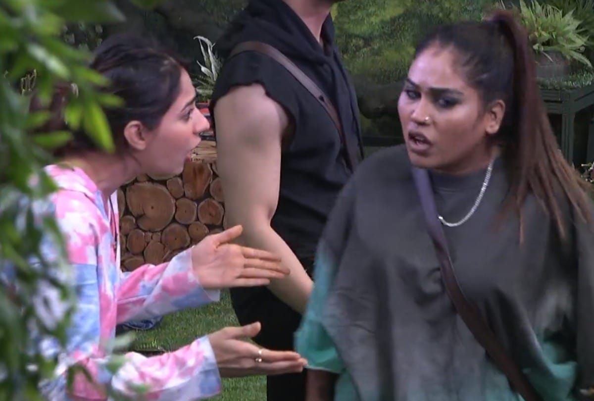 Bigg Boss 15 big contestant afsana khan threatens to hit vidhi pandya during big fight