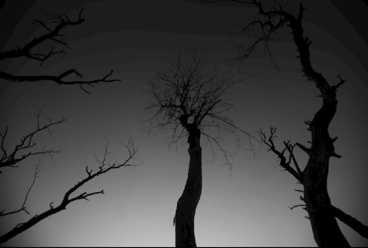 Most Haunted Place of India Gujarat Dumas Beach which is famous for paranormal activity