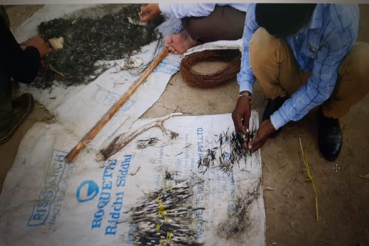 The forest department team has arrested two accused with the remains of wildlife from the forest of a village in Hastinapur