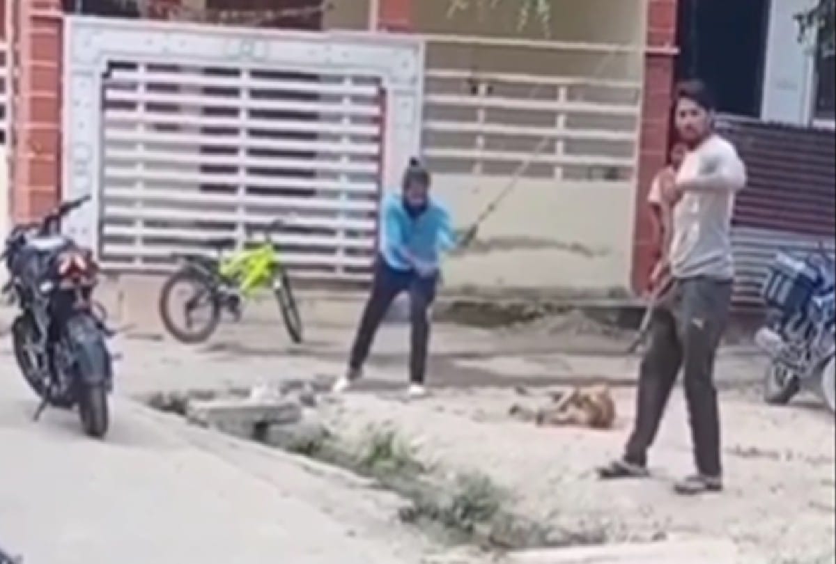 Two civic employees of dewas district booked for beating dog to death