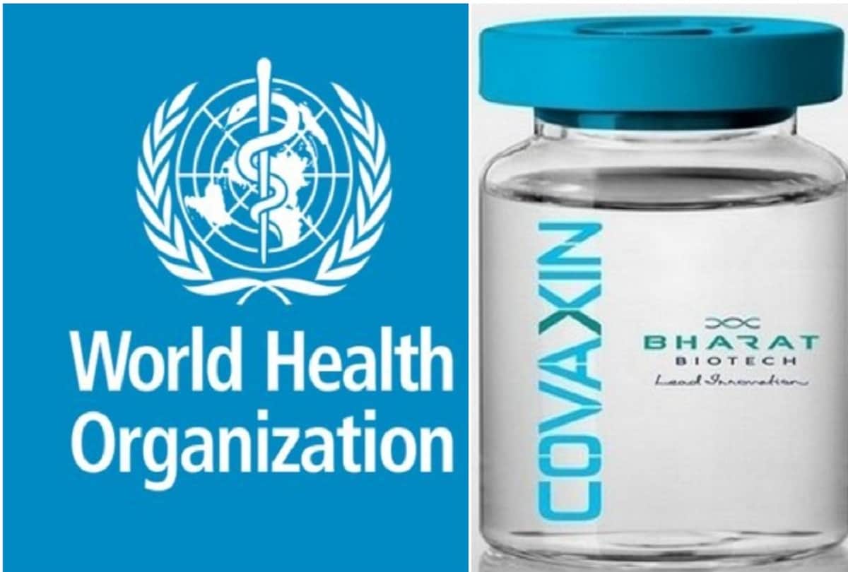 Hindi News Headlines 26 October Today: Important and big news stories of 26 October updates on Amar Ujala