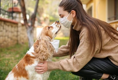 Lucknow: अप्रैल से गाय और कुत्ता पालना होगा महंगा, बढ़ेगी लाइसेंस फीस, जानवरों में लगाई जाएगी खास चिप प्रतीकात्मक तस्वीर