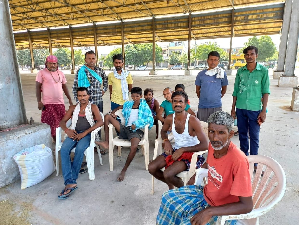 20 quintal millet reached the grain market on the fifth day, government portal closed