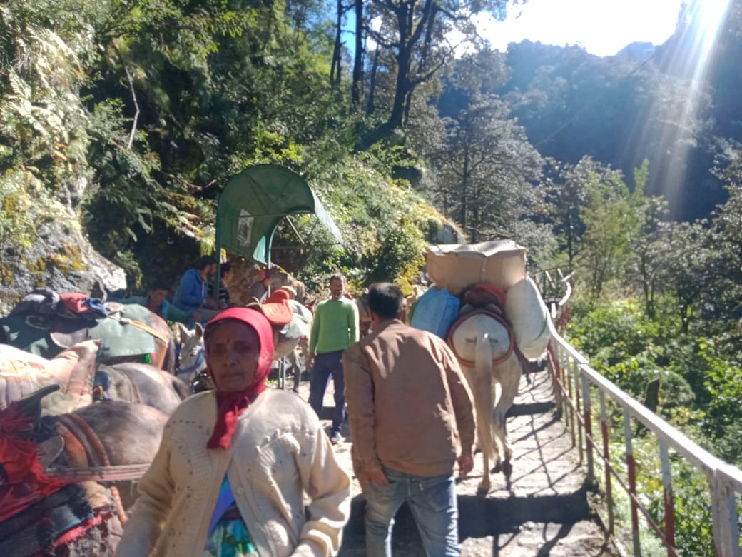 chardham yatra update today: After High Court decision businessmen are happy, traffic on roads smooth, devotees are reaching