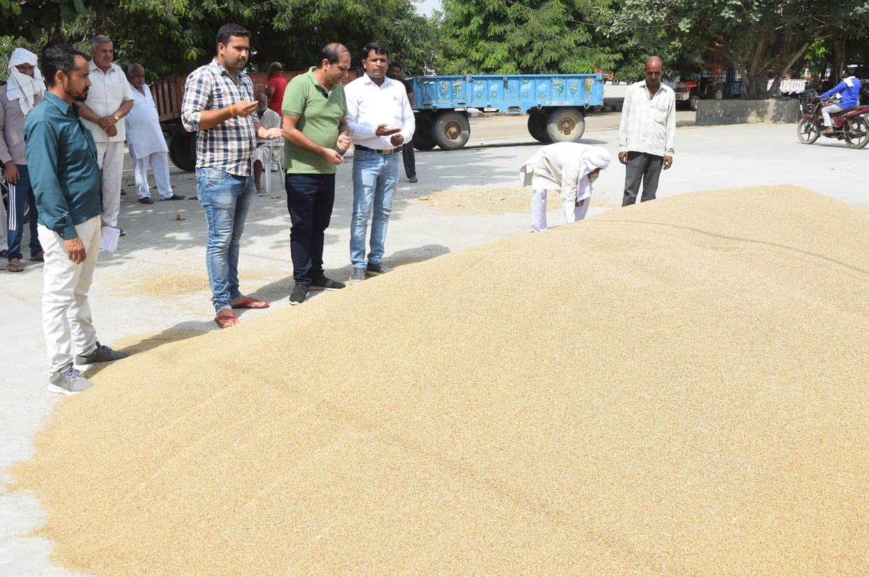 MSP: Crisis continues on the purchase of millet