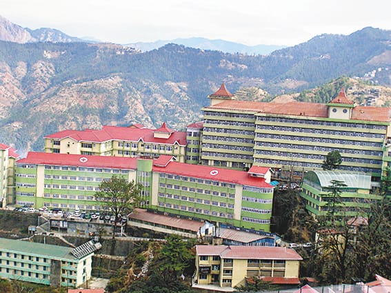 SEVEN New scurb tyfeus case in shimla