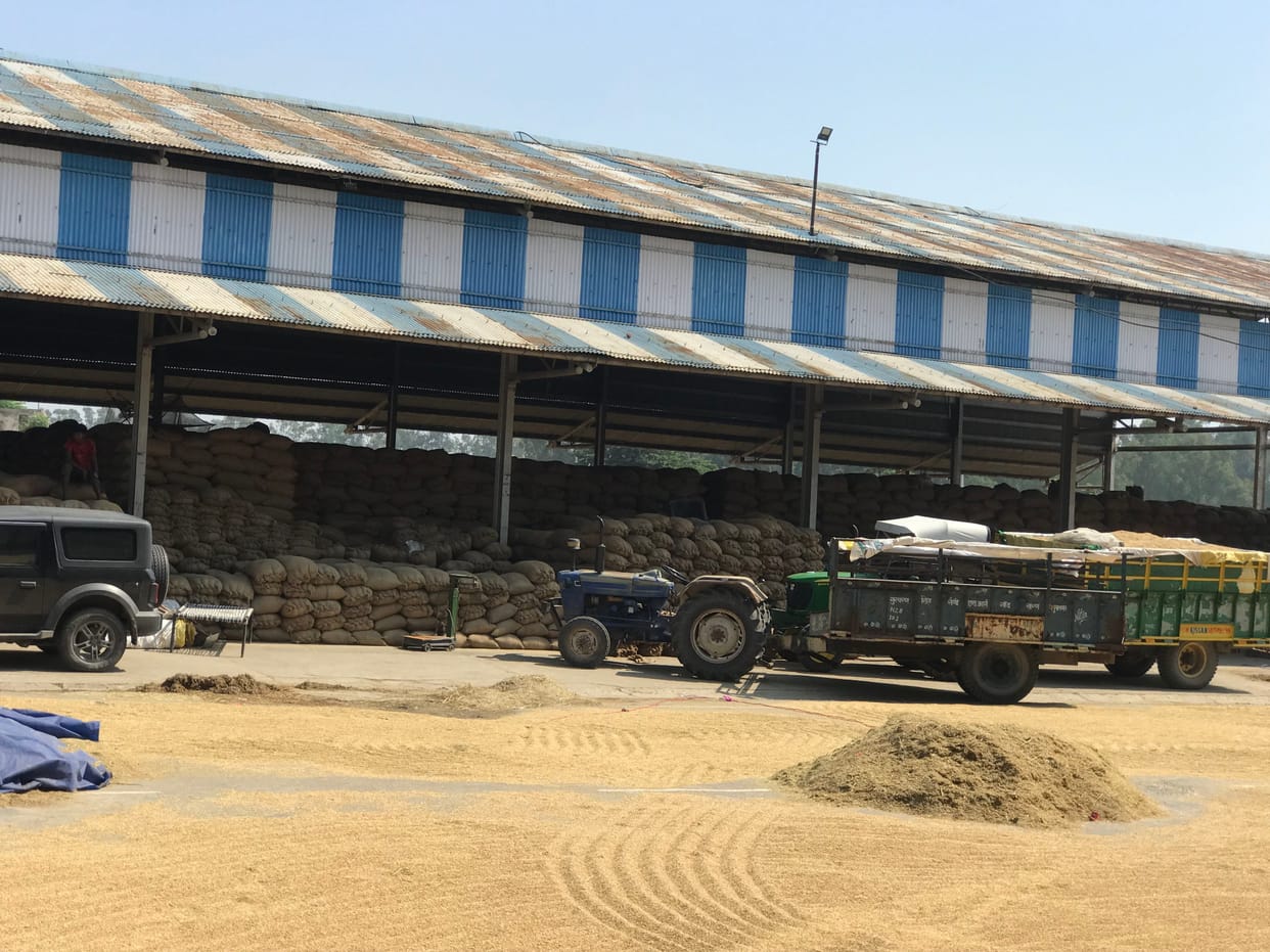 Paddy filled mandi due to non-start of lifting, government claims of payment failed in 72 hours