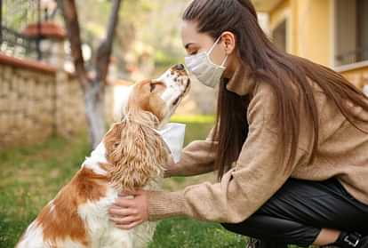 Dog allergy treatment in hindi hotsell