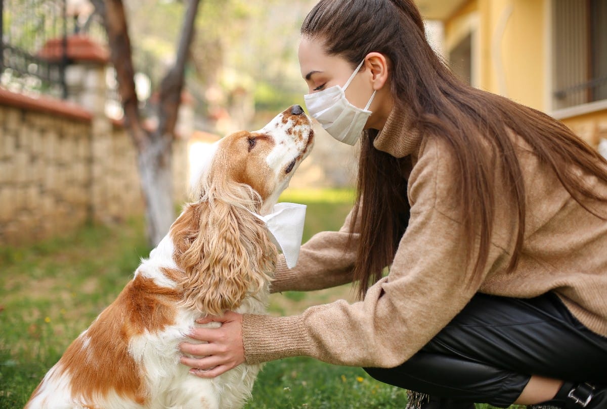 Tips To Prevent Dog Cat Allergy Symptoms and Treatment