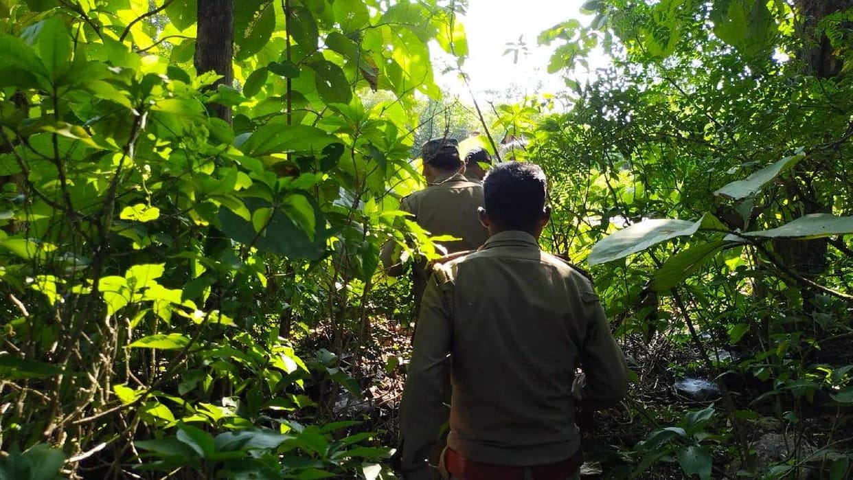 Cobbing of police and forest workers started in the park area