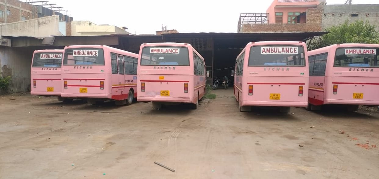 Pink buses will be launched again on the routes for girl students