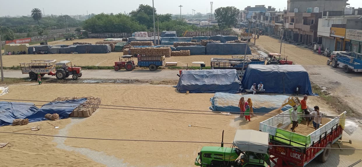 Mandis littered with paddy, paddy is not being lifted due to non-cutting of I form