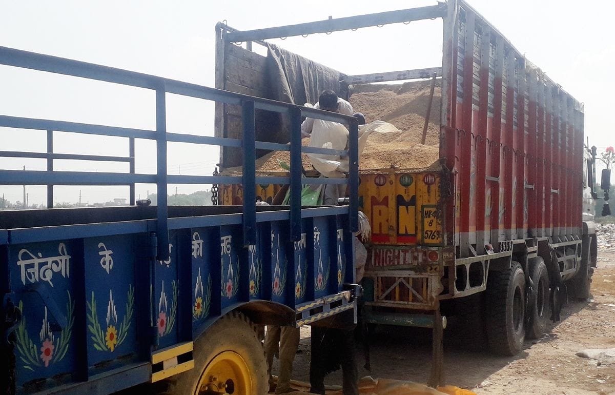 efforts to bring 250 quintals of paddy from Uttar Pradesh  and sell them in safidon