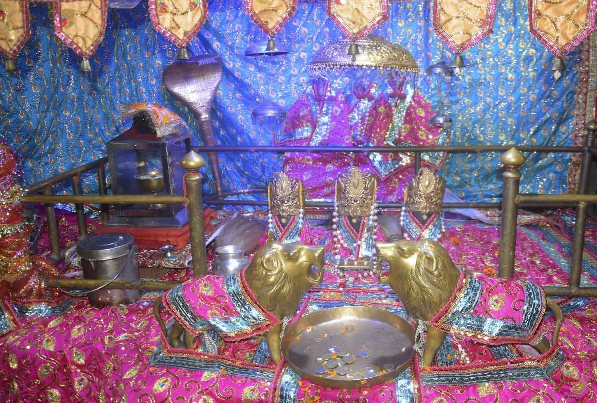 Navratri 2021: Devotees Came For Worship In Kaila Devi And Vaishno Devi Mandir
