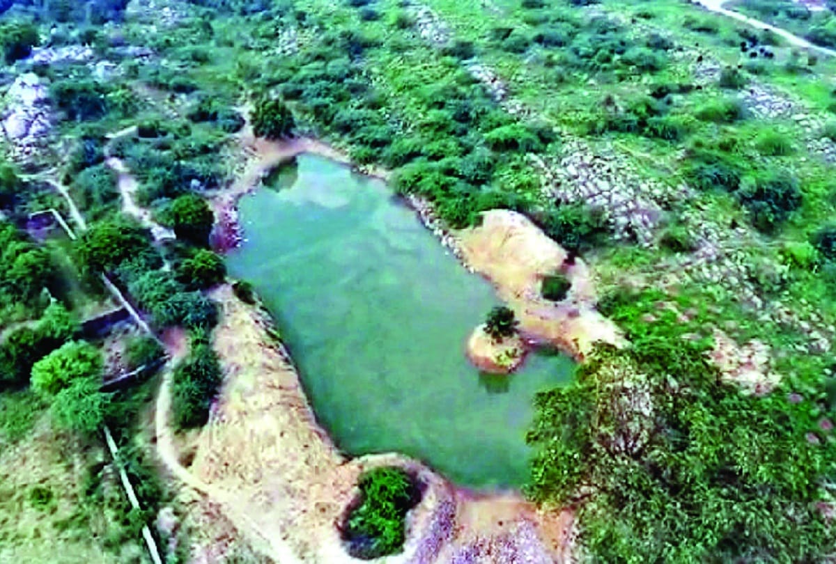Forest Department will stop the falling groundwater level of Delhi by building a check dam