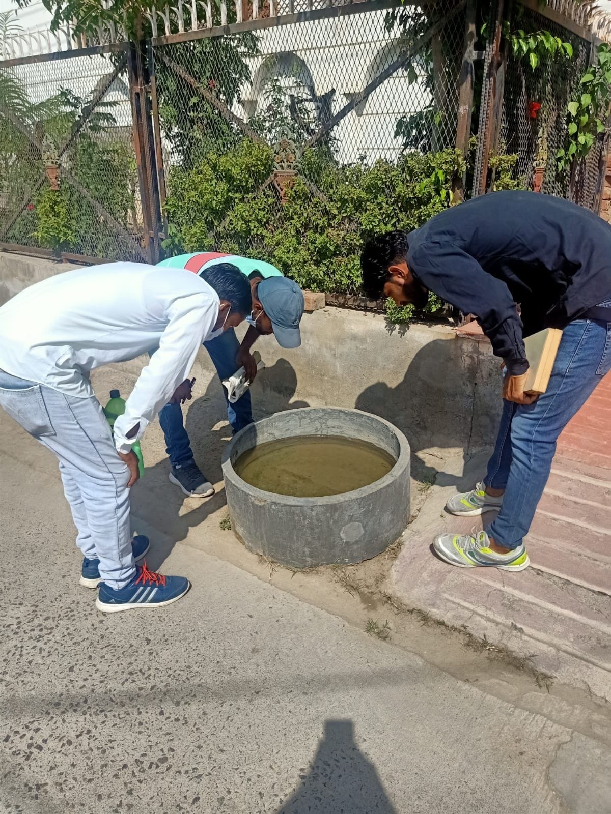Dengue outbreak increased, 7 cases found in a single day