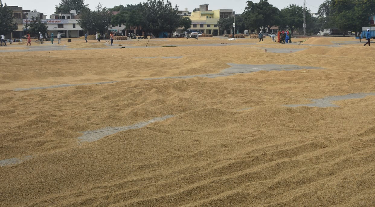 Allegations of disturbance in the machine telling moisture, the farmers took possession of the machine, the purchase of paddy stopped