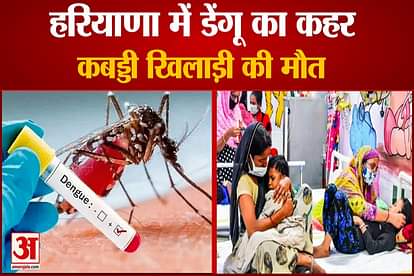 Dengue Cases on Rise in Haryana