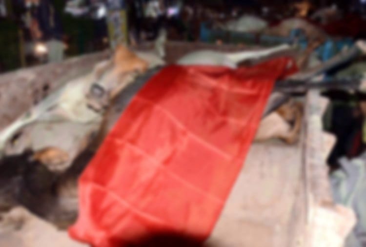 15 cows died in bhiwani of Haryana