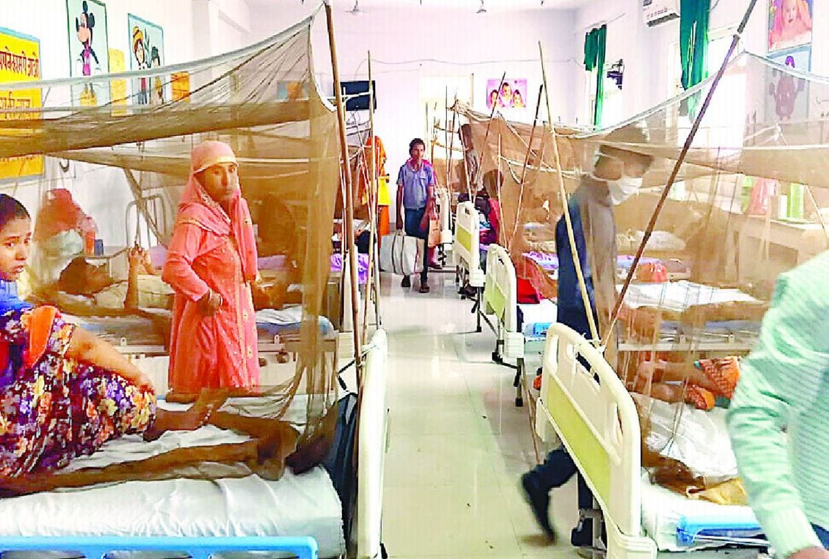 Four Fever Patients Die Due To Dengue And Viral Kasganj News
