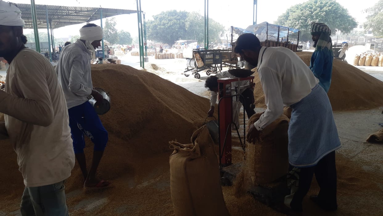 Minimum support price for the purchase of paddy 1960, getting less price